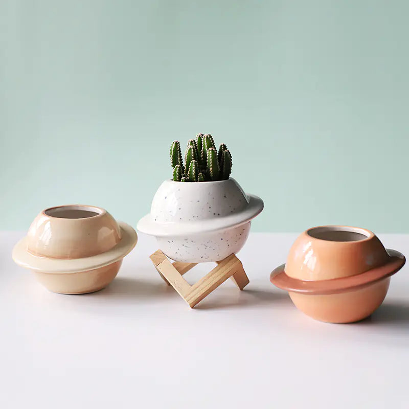 Ceramic Succulent Flowerpot