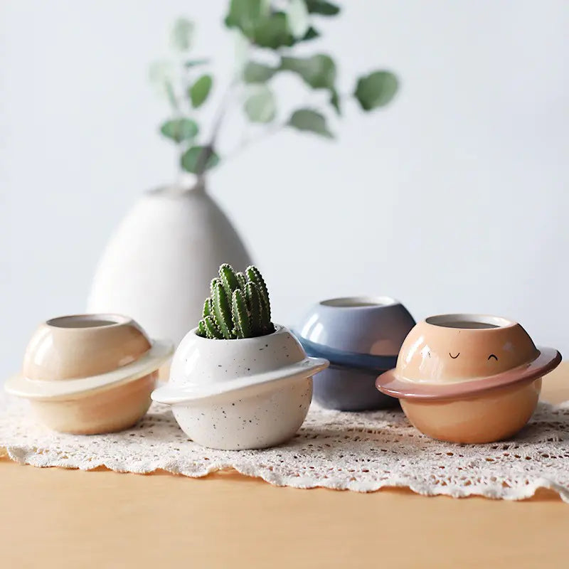 Ceramic Succulent Flowerpot