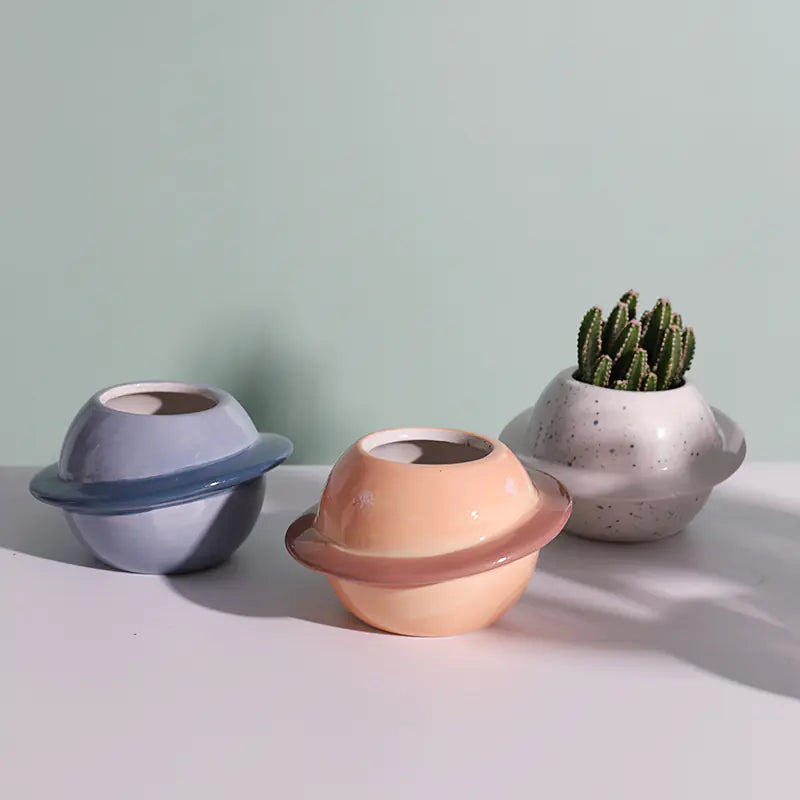 Ceramic Succulent Flowerpot
